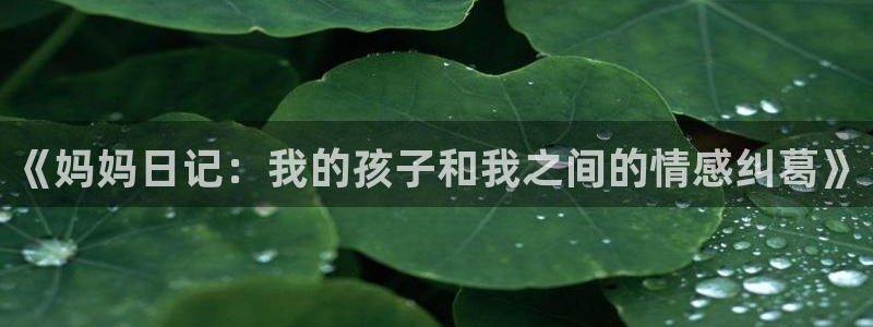 omofun动漫官网：《妈妈日记：我的孩子和我之间的情感纠葛》配图