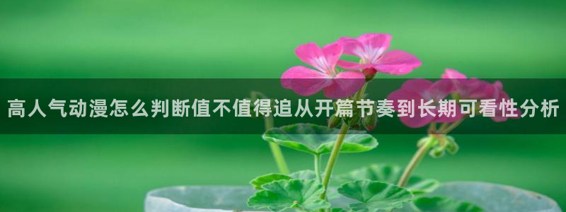 omofun高清完整版:高人气动漫怎么判断值不值得追从开篇节奏到长期可看性分析配图
