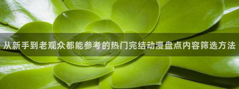 omofun追番：从新手到老观众都能参考的热门完结动漫盘点内容筛选方法配图